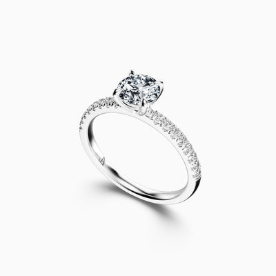 gid://shopify/MediaImage/63358502404431